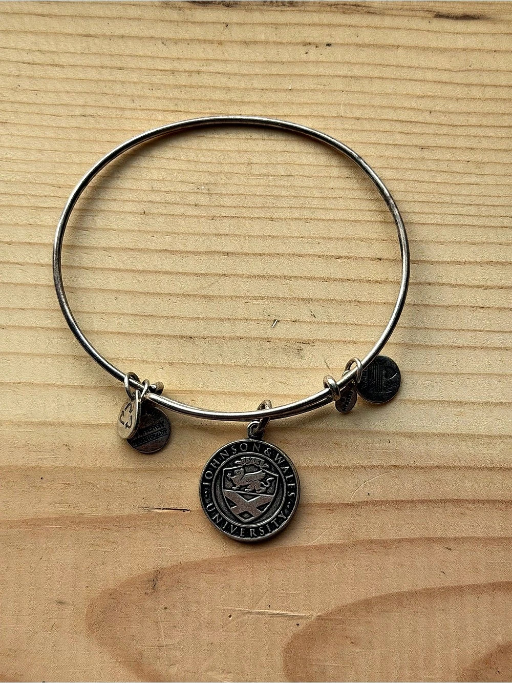 Alex and Ani Johnson & Wales University Charm Bangle Charm Bangle in Silver 2013